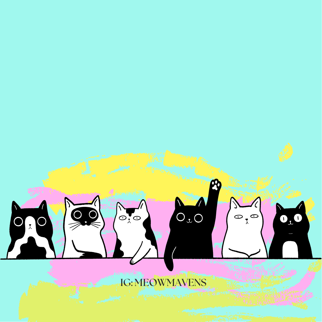 STI Paint 6 Cats