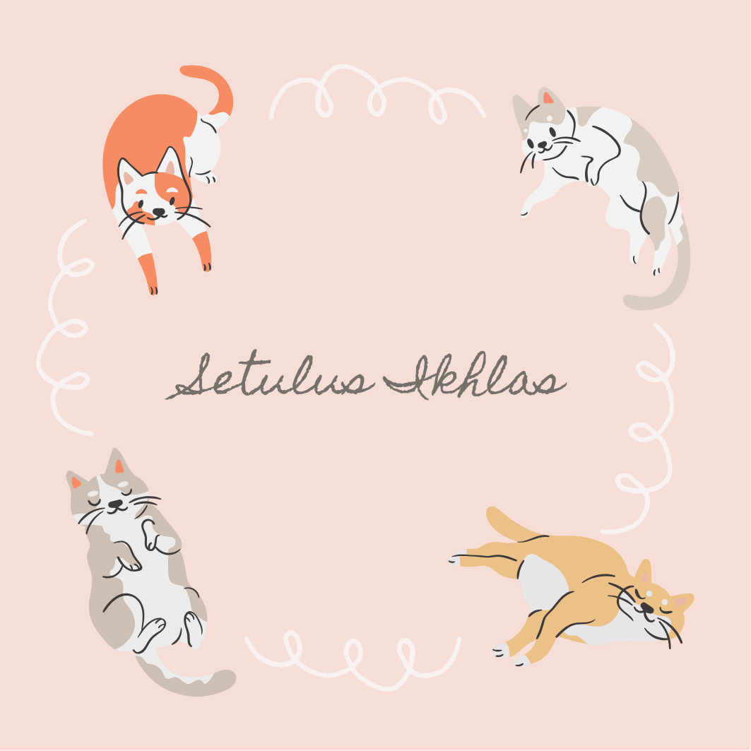Setulus Ikhlas 4 Cats